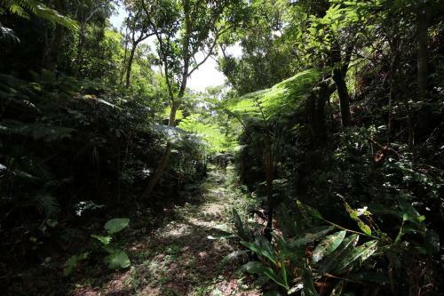 Agroturismo Cottage Tingara