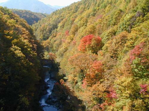 Hostal Pension Hana Kirin
