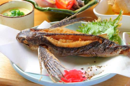 Tanegashima Minshuku Yuyu
