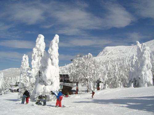 Hostal Pension Puutaro