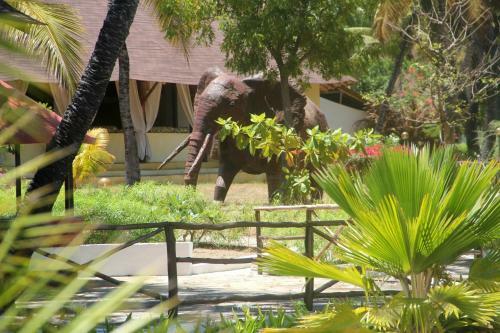 Hotel Angel's Bay Beach Resort