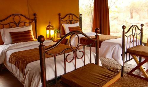 Ikweta Safari Camp