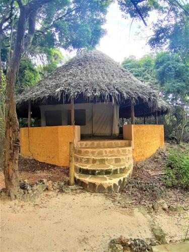 Firefly Ocean Camp
