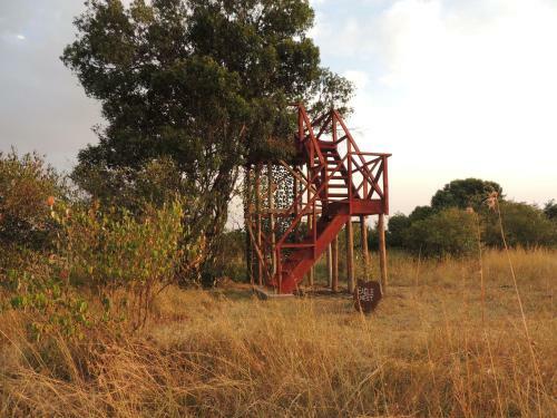 Loyk Mara Luxury Camp