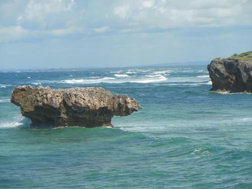 Hotel Marijani Holiday Resort