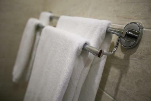 Altai Business Hotel