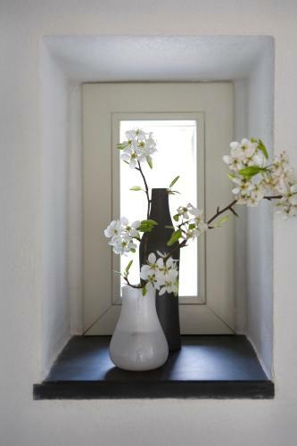 Agroturismo Agriturismo Il Mulino