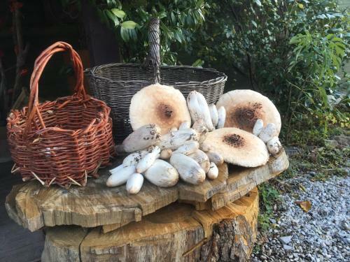 Agroturismo Agriturismo Il Mulino
