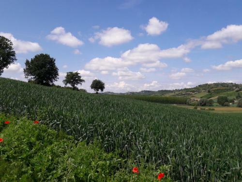 Apartamento Corte Dell'uva