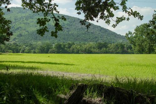 Agroturismo Il Fojot