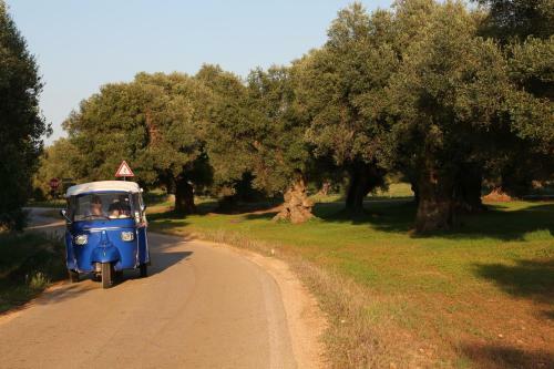 Agroturismo Masseria Le Terrazze Di Serranova