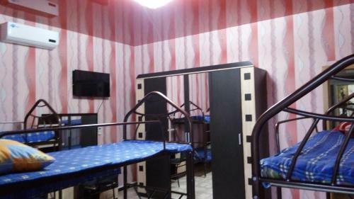 Viktoria Hostel