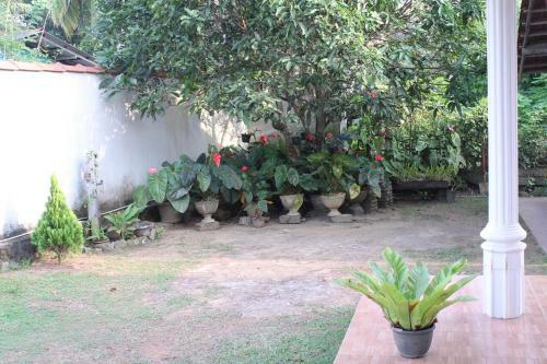 Villa Birds Paradise Hikkaduwa