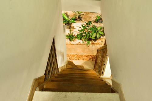 Hostal Fort Sapphire