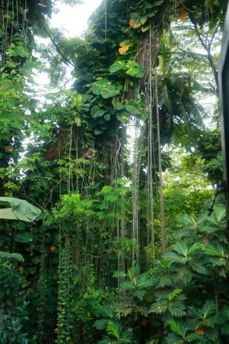 Albergue Green Turf Guest House