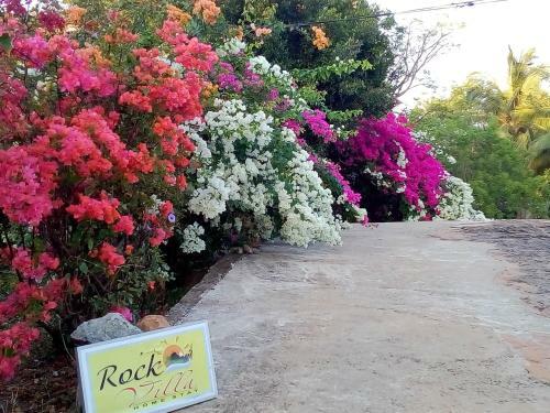 Bed & Breakfast Rockvilla Homestay And Bnb