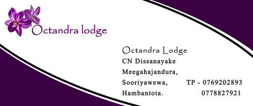 Octandra Eco Lodge