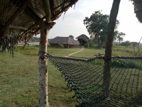 Jungle House