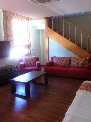 Padok Premium Hotel & Stables