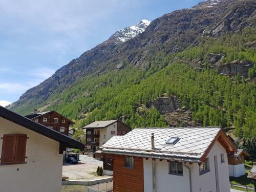 Apartamentos Castor II Tasch
