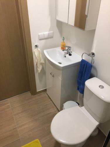 Apartament Mal?no