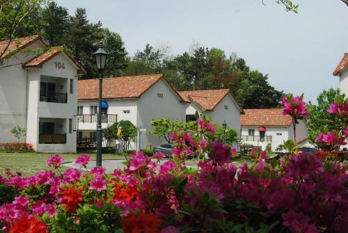 Meta Hotel & Resort