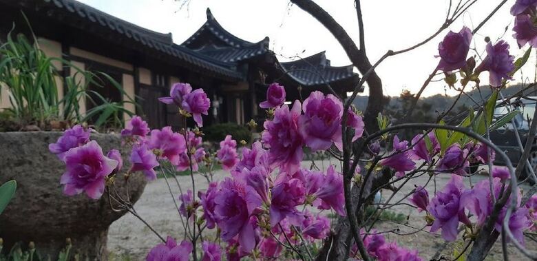 Hostal Manhoe Gotaek