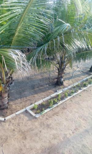 Hostal Beach Guest House Addalaichenai