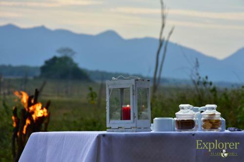 Explorer By Mahoora - Gal Oya National Park (All Inclusive)