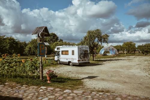 Sunny Nights Hostel