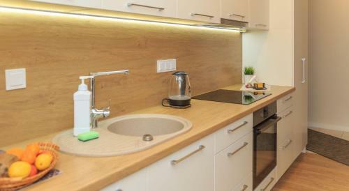 Vip Apartaments - Zalgirio 96