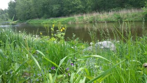 Agroturismo Kankor??is