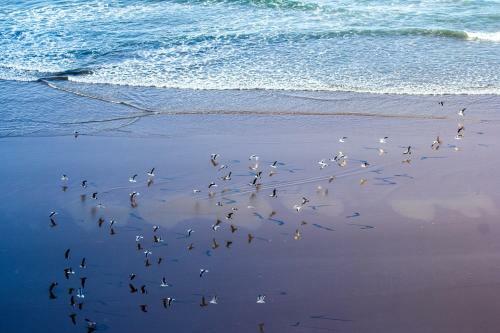 Apartamento Imsouane Ocean Surfhouse Appartement