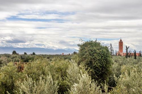Hostal Le Chant Des Oliviers