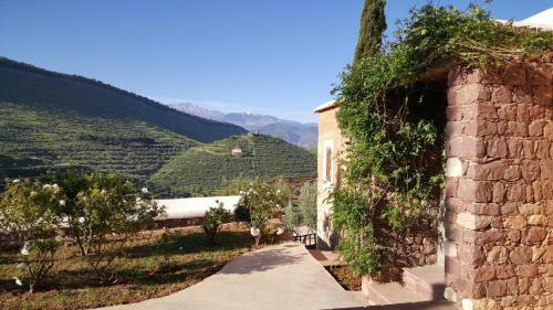 Posada Le Douar Berbere