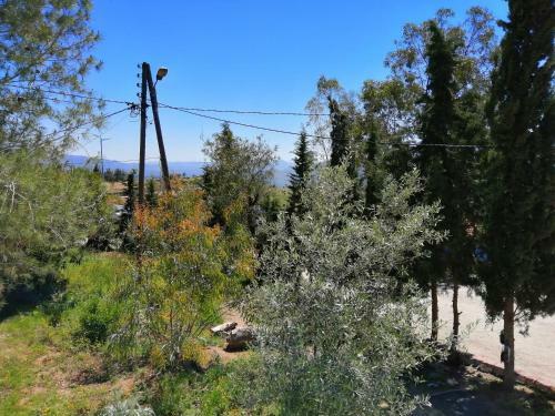 Chaouen Youth Hostel