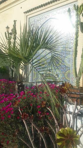 Riad Souafine