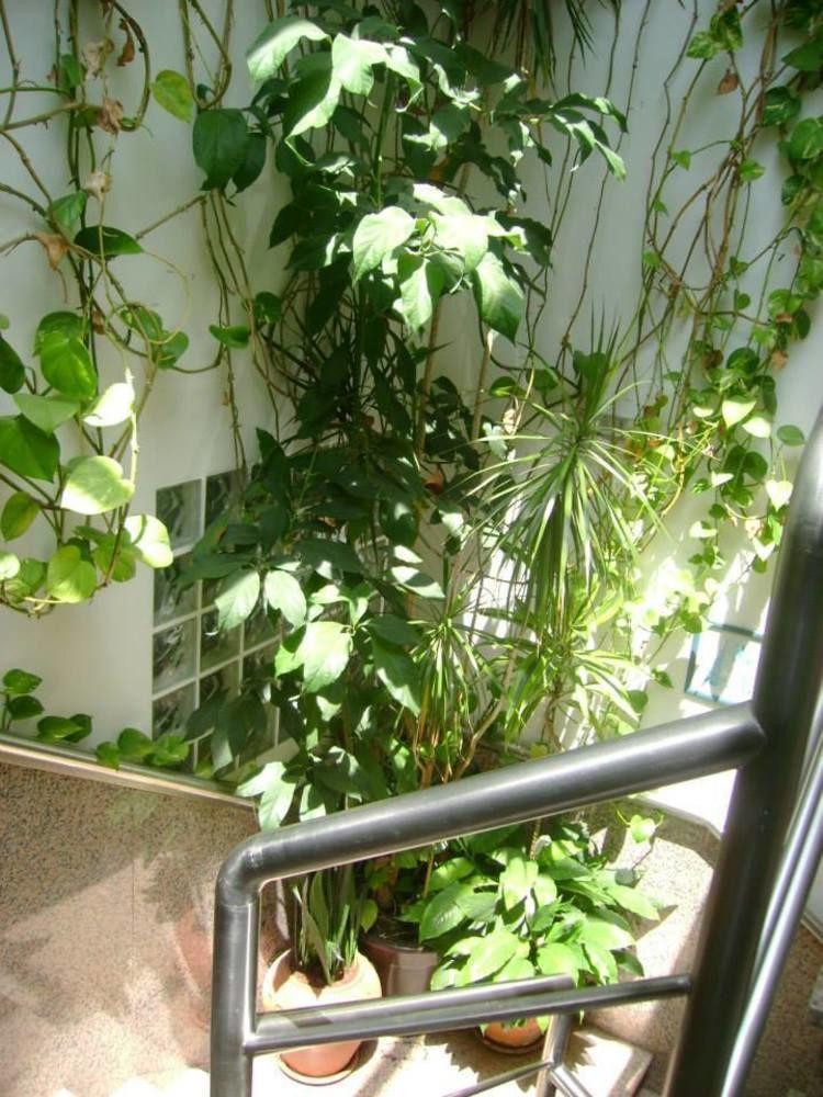 Hostal Residencial Moeda