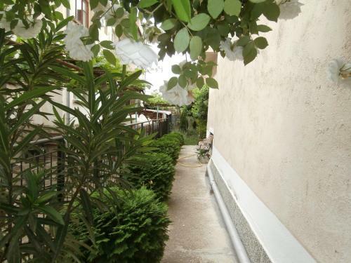 Apartments In House Silent Nature
