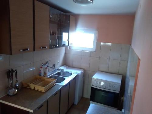 Apartment Bo?ica