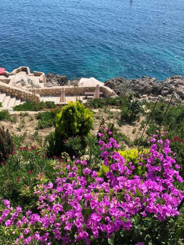 Apartamento Montenegro - South Cross