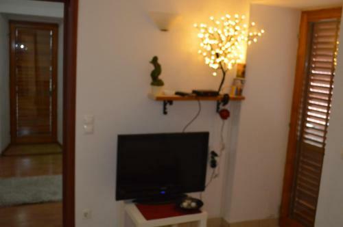Apartment Aleksandar
