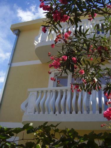 Apartments Beba Zalad