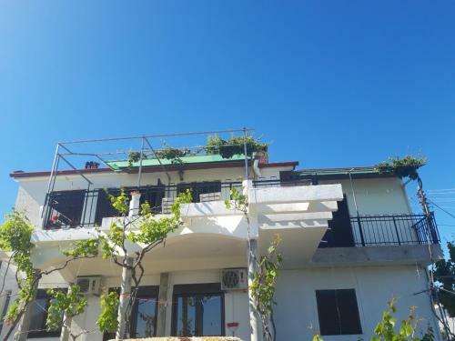 Apartment Djakonovic Mladen