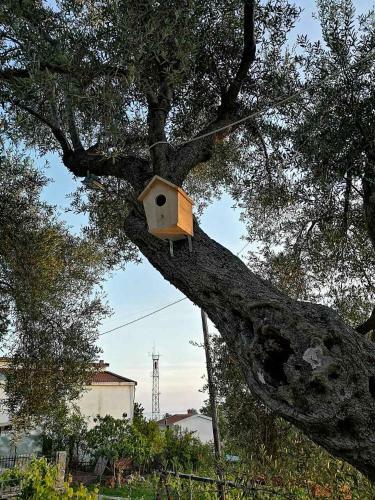 Apartman Nikocevic