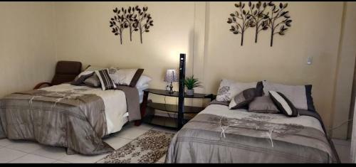 Hostal Suites Pozos M�gico