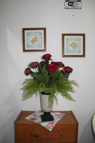 Hostal Emma Guesthouse