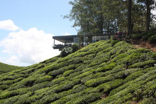 Apartamento Cameron Strawberry Residence