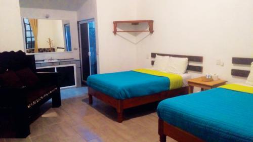 Hostal Hotel Falcon