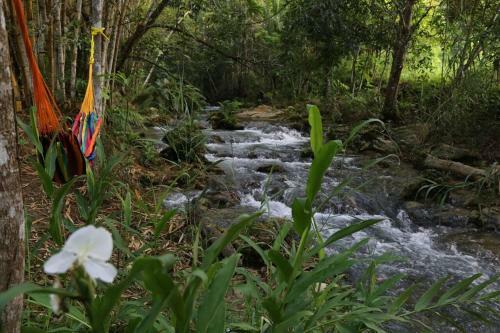 Lodge Reserva Ecol�gica Copalitilla